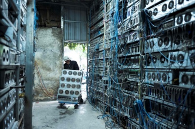 A flourishing cryptocurrency mining farm showcasing diverse mining rigs at work