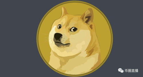 An enthusiastic Dogecoin community celebrating the rise of this popular cryptocurrency